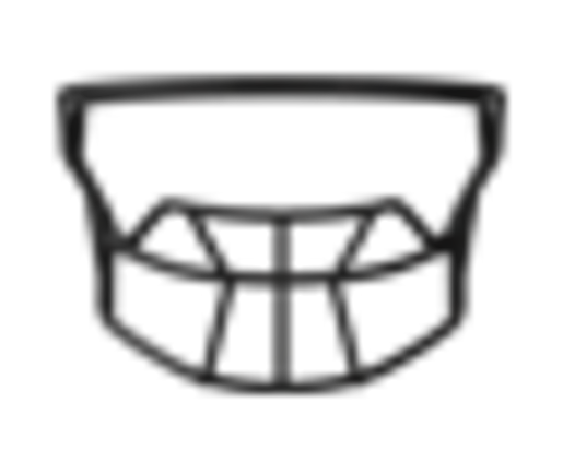 RAXW2BCHPS ~ AXIOM FACEMASK W-2BC-HP-S
