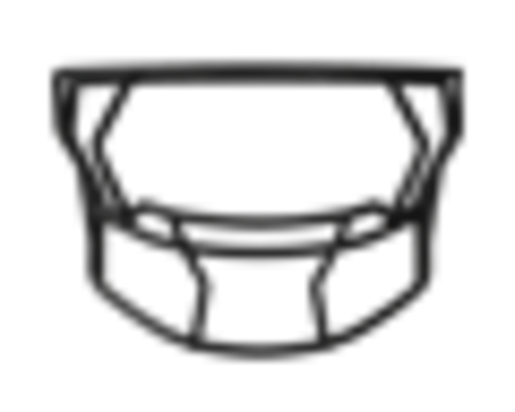 RAXW2EGHPS ~ AXIOM FACEMASK W-2EG-HP-S