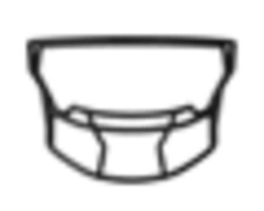 RAXW2BS ~ AXIOM FACEMASK W-2B-HP-S